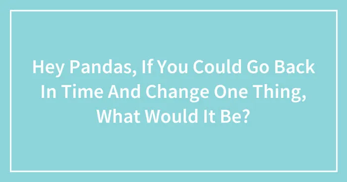 Hey Pandas, If You Could Go Back In Time And Change One Thing, What Would It Be? (Closed)