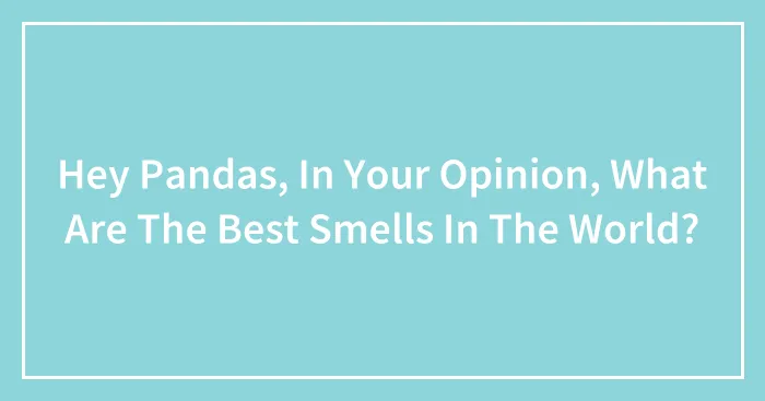 Hey Pandas, In Your Opinion, What Are The Best Smells In The World? (Closed)