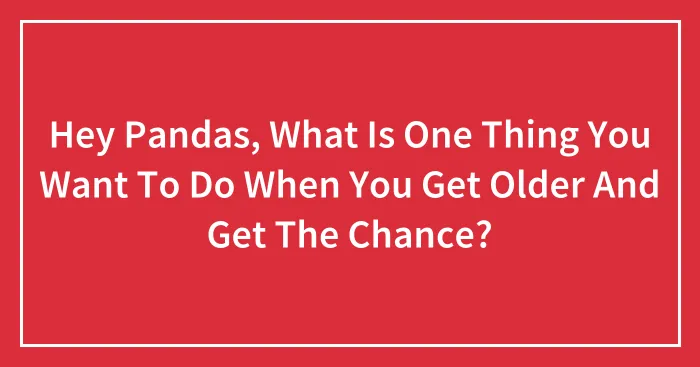 Hey Pandas, What Is One Thing You Want To Do When You Get Older And Get The Chance?