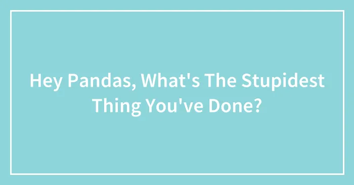 Hey Pandas, What's The Stupidest Thing You've Done?