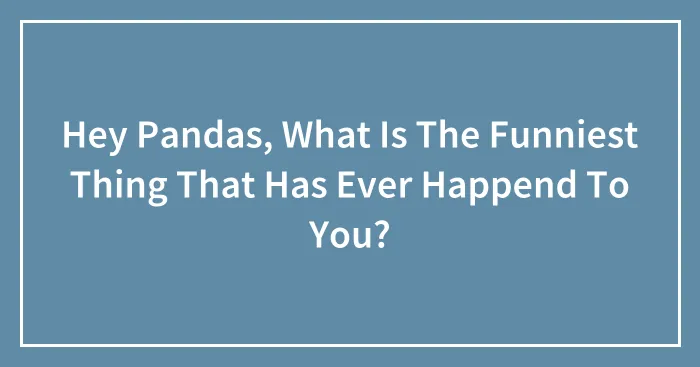 Hey Pandas, What Is The Funniest Thing That Has Ever Happend To You?