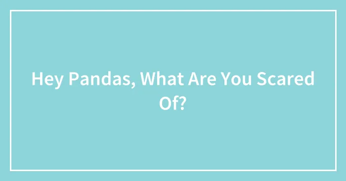 Hey Pandas, What Are You Scared Of?