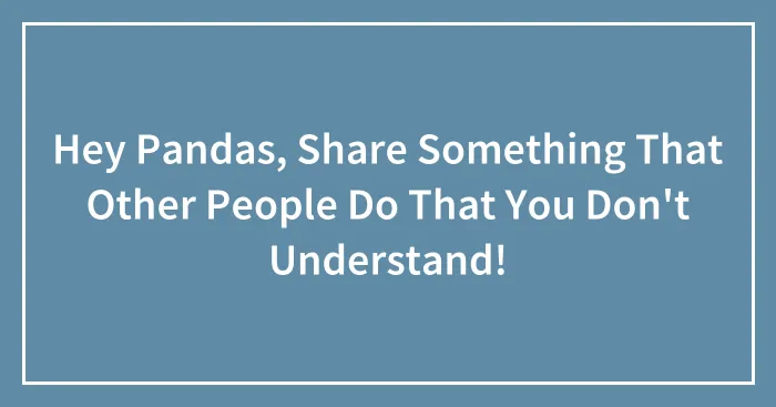 Hey Pandas, Share Something That Other People Do That You Don't Understand! (Closed)