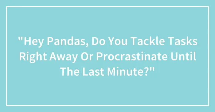 "Hey Pandas, Do You Tackle Tasks Right Away Or Procrastinate Until The Last Minute?" (Closed)