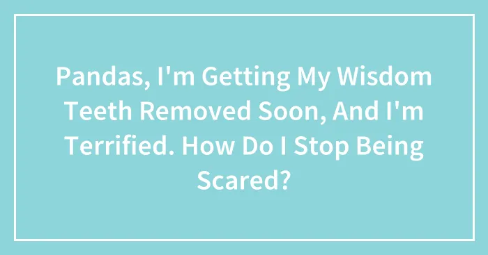 Pandas, I'm Getting My Wisdom Teeth Removed Soon, And I'm Terrified. How Do I Stop Being Scared?