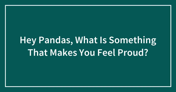 Hey Pandas, What Is Something That Makes You Feel Proud? (Closed)