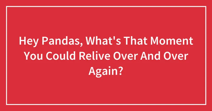 Hey Pandas, What's That Moment You Could Relive Over And Over Again? (Closed)
