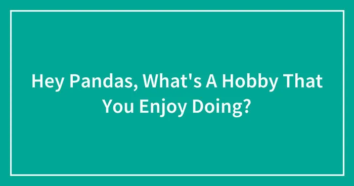 Hey Pandas, What's A Hobby That You Enjoy Doing? (Closed)