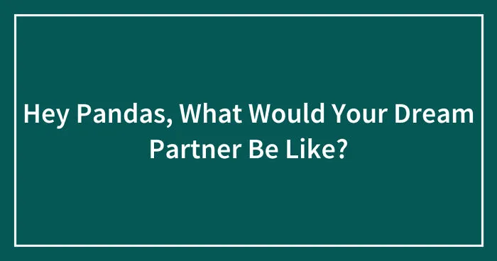 Hey Pandas, What Would Your Dream Partner Be Like? (Closed)