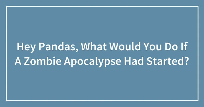 Hey Pandas, What Would You Do If A Zombie Apocalypse Had Started? (Closed)