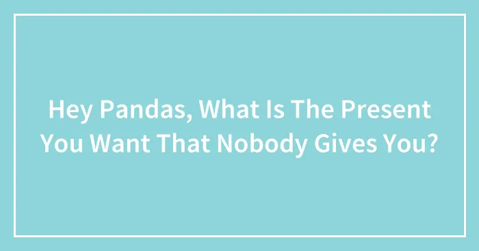 Hey Pandas, What Is The Present You Want That Nobody Gives You? (Closed)