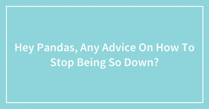 Hey Pandas, Any Advice On How To Stop Being So Down? (Closed)