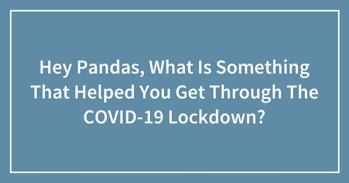 Hey Pandas, What Is Something That Helped You Get Through The COVID-19 Lockdown? (Closed)