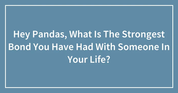 Hey Pandas, What Is The Strongest Bond You Have Had With Someone In Your Life? (Closed)