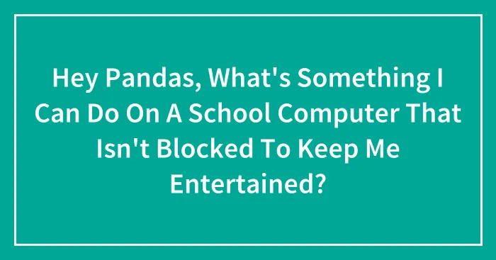 Hey Pandas, What's Something I Can Do On A School Computer That Isn't Blocked To Keep Me Entertained?