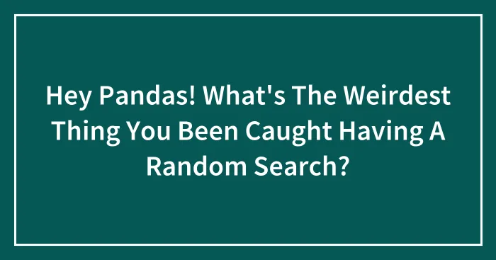 Hey Pandas! What's The Weirdest Thing You Been Caught Having A Random Search?