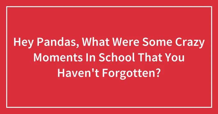 Hey Pandas, What Were Some Crazy Moments In School That You Haven't Forgotten?