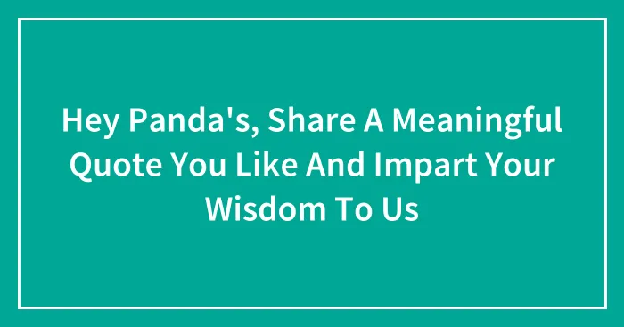 Hey Panda's, Share A Meaningful Quote You Like And Impart Your Wisdom To Us
