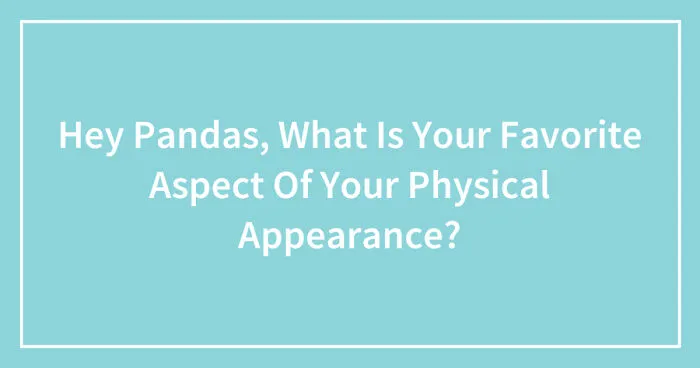 Hey Pandas, What Is Your Favorite Aspect Of Your Physical Appearance? (Closed)