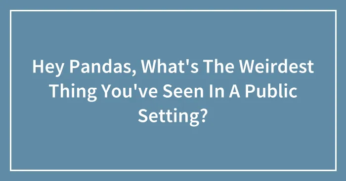 Hey Pandas, What's The Weirdest Thing You've Seen In A Public Setting?