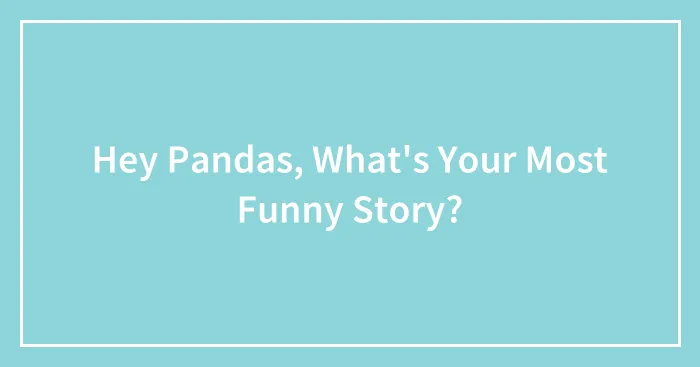 Hey Pandas, What's Your Most Funny Story? (Closed)