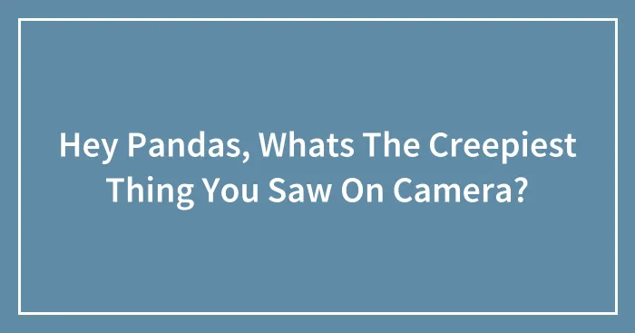 Hey Pandas, Whats The Creepiest Thing You Saw On Camera?