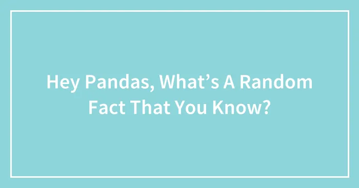 Hey Pandas, What’s A Random Fact That You Know? (Closed)