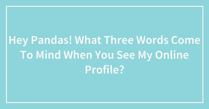 Hey Pandas! What Three Words Come To Mind When You See My Online Profile? (Closed)