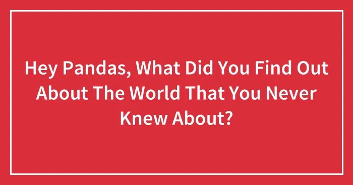 Hey Pandas, What Did You Find Out About The World That You Never Knew About? (Closed)