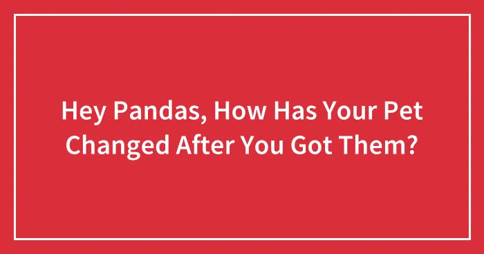 Hey Pandas, How Has Your Pet Changed After You Got Them?