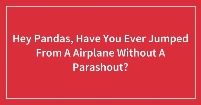 Hey Pandas, Have You Ever Jumped From A Airplane Without A Parashout?