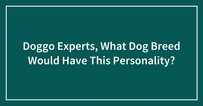 Doggo Experts, What Dog Breed Would Have This Personality?