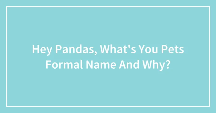 Hey Pandas, What's You Pets Formal Name And Why?
