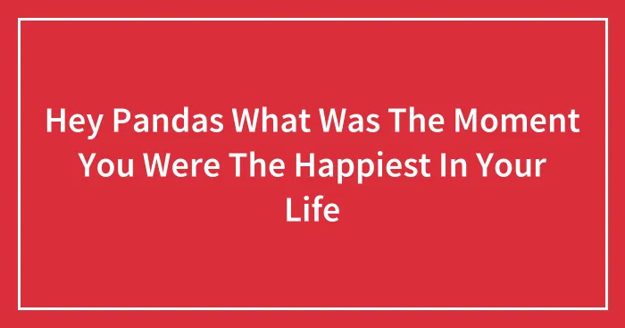 Hey Pandas What Was The Moment You Were The Happiest In Your Life