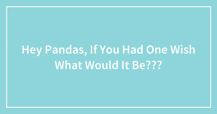 Hey Pandas, If You Had One Wish What Would It Be???