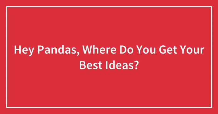 Hey Pandas, Where Do You Get Your Best Ideas?