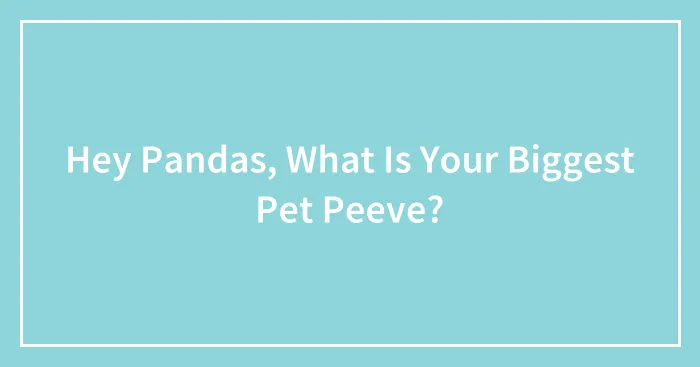 Hey Pandas, What Is Your Biggest Pet Peeve?