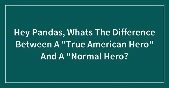 Hey Pandas, Whats The Difference Between A "True American Hero" And A "Normal Hero?