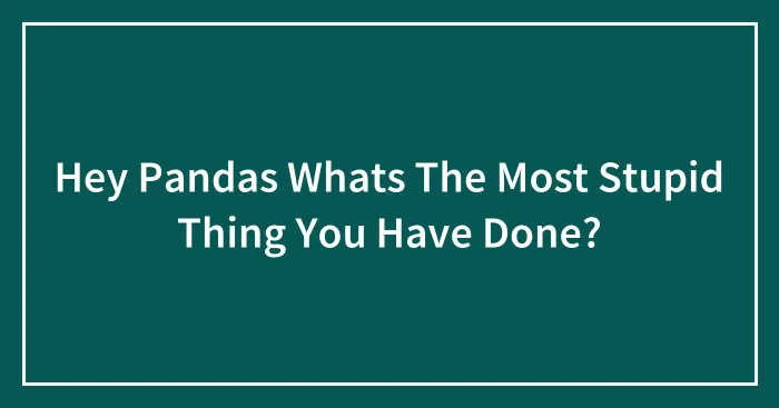 Hey Pandas Whats The Most Stupid Thing You Have Done?