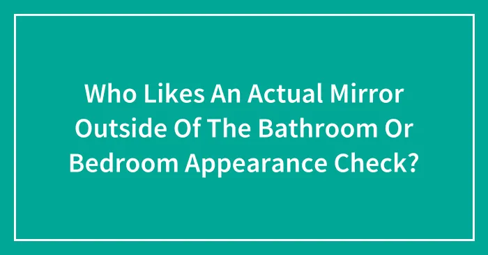 Who Likes An Actual Mirror Outside Of The Bathroom Or Bedroom Appearance Check?