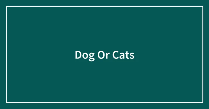 Dog Or Cats