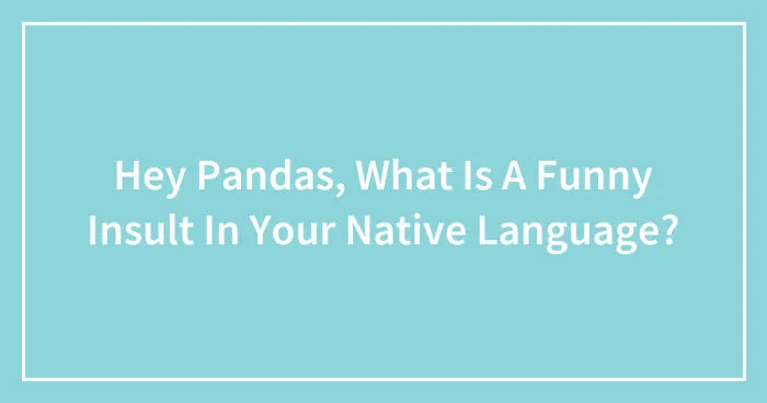 Hey Pandas, What Is A Funny Insult In Your Native Language? (Closed)