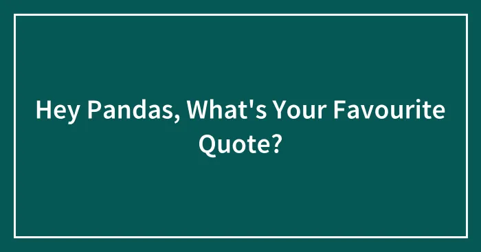 Hey Pandas, What's Your Favourite Quote?