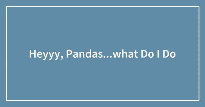 Heyyy, Pandas...what Do I Do