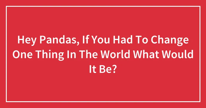 Hey Pandas, If You Had To Change One Thing In The World What Would It Be? (Closed)