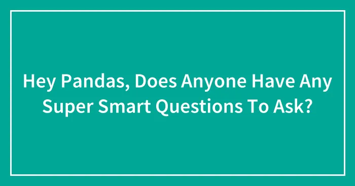 Hey Pandas, Does Anyone Have Any Super Smart Questions To Ask?