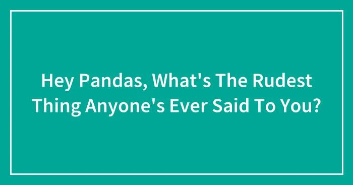 Hey Pandas, What's The Rudest Thing Anyone's Ever Said To You?