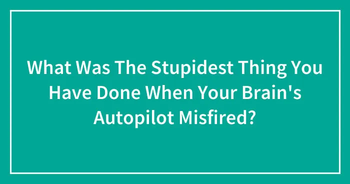 Hey Pandas, What Was The Stupidest Thing You Have Done When Your Brain's Autopilot Misfired? (Closed)