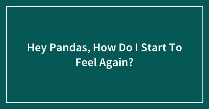 Hey Pandas, How Do I Start To Feel Again?