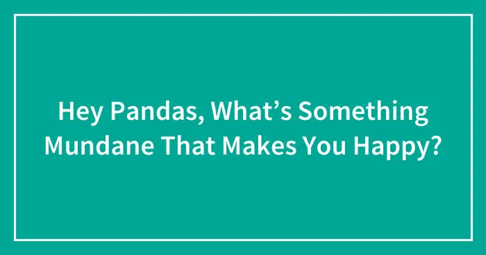 Hey Pandas, What’s Something Mundane That Makes You Happy?